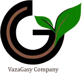 Logo VazaGasy Company